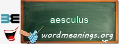 WordMeaning blackboard for aesculus